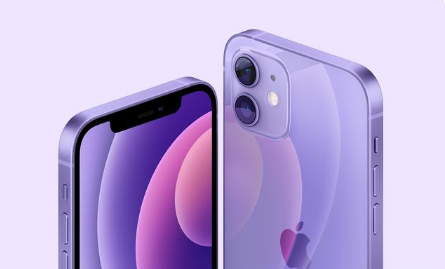龙亭苹果手机维修分享紫色版iPhone 12有什么技术亮点 